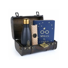 Pyramid International Harry Potter (Trouble FInds Me) Premium Gift Set (045156)