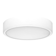 RABALUX Lauri 71244 LED plafonjera